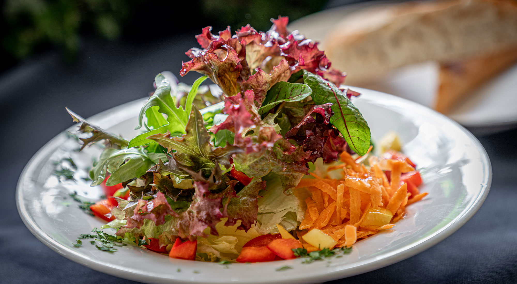 Knackige und frisch zubereitete Salate als Vor- oder Hauptspeise